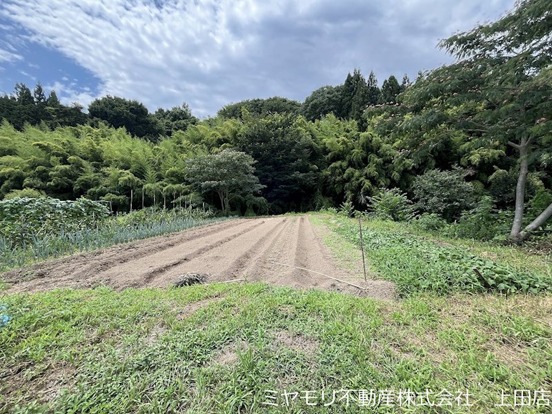 上田市住吉　土地 現地写真