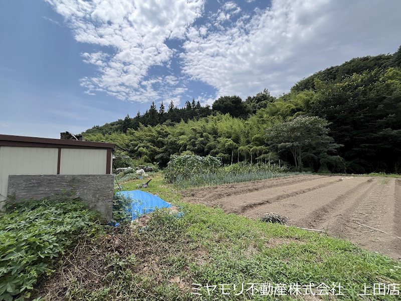 上田市住吉　土地 現地写真