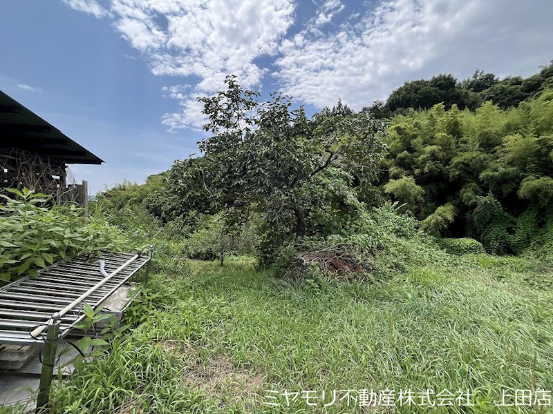 上田市住吉　土地 現地写真