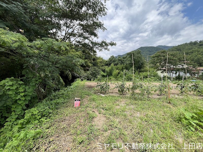 上田市住吉　土地 現地写真