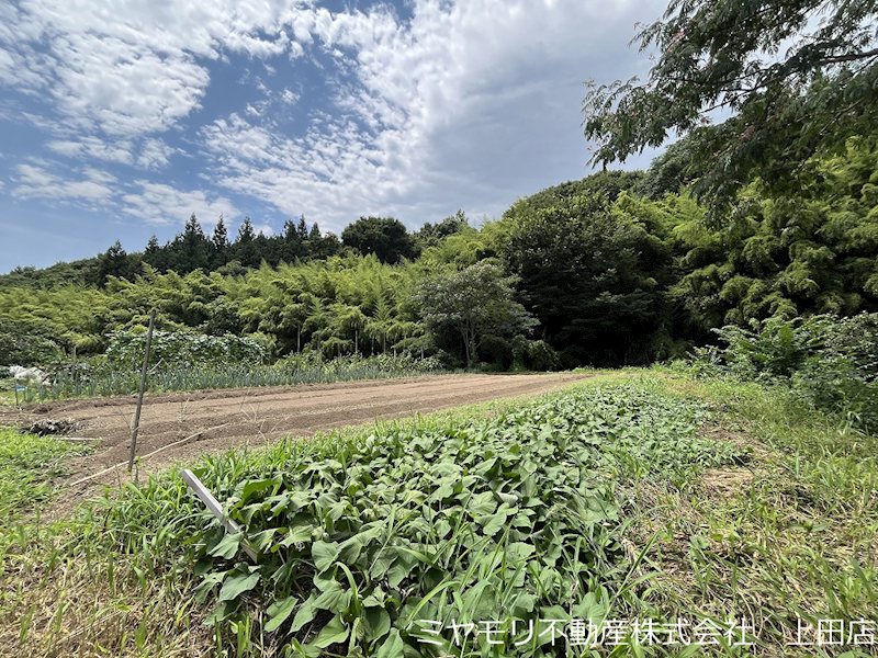 上田市住吉　土地 現地写真