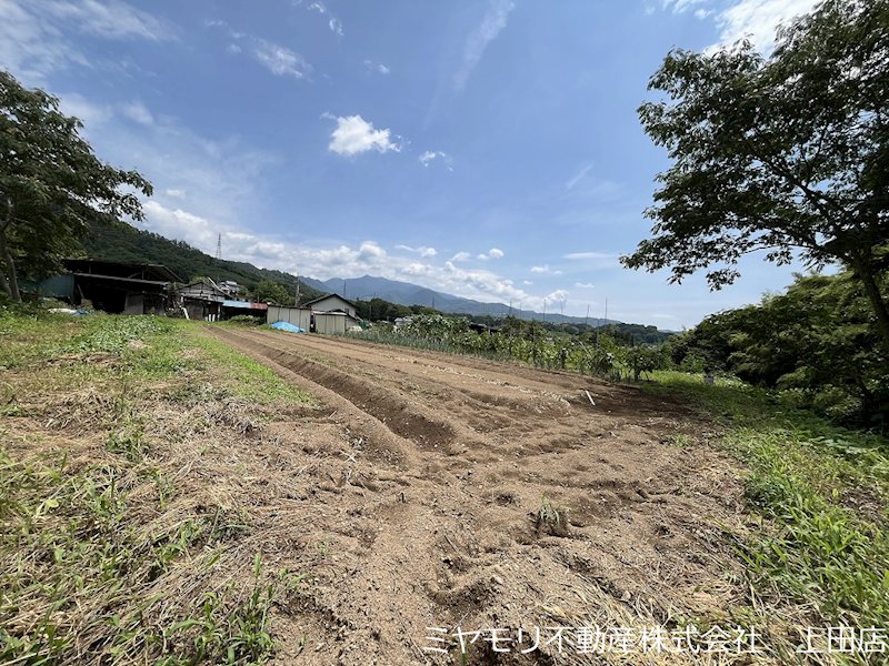 上田市住吉　土地 現地写真