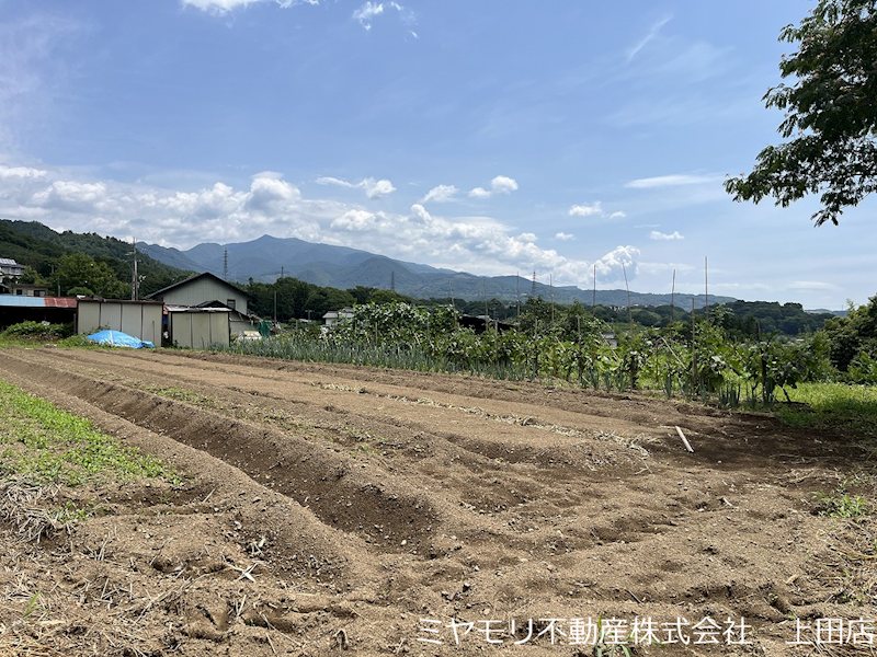 上田市住吉　土地 現地写真