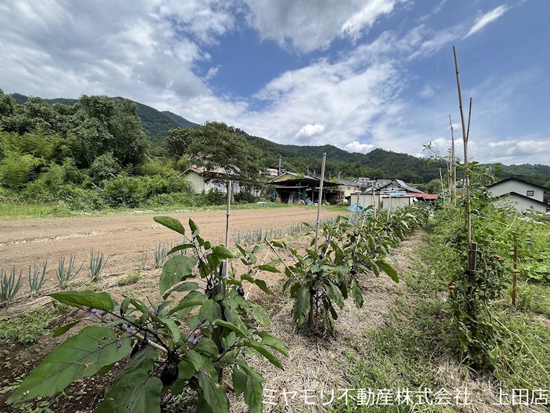 上田市住吉　土地 現地写真