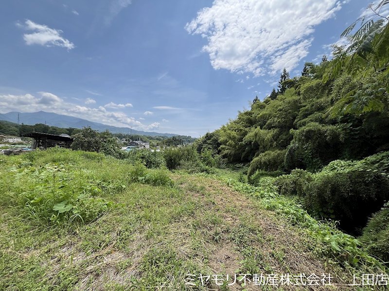 上田市住吉　土地 現地写真