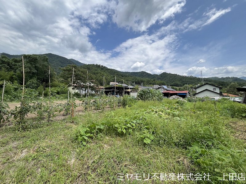 上田市住吉　土地 現地写真