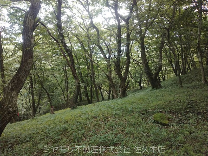 佐久市内山　中古戸建 その他