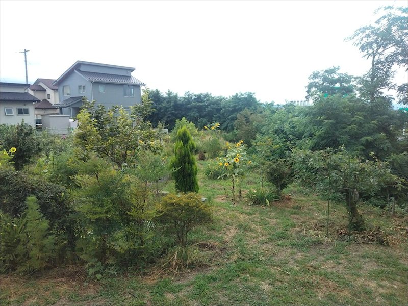 佐久市岩村田　中古戸建 その他