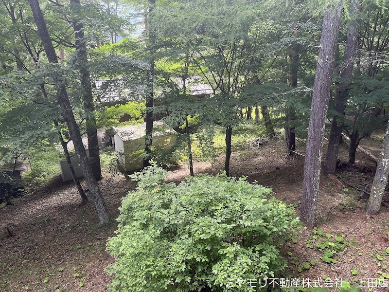 青木村沓掛　中古戸建 眺望写真