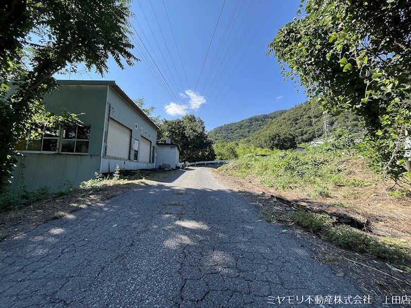 上田市常磐城　土地 現地写真