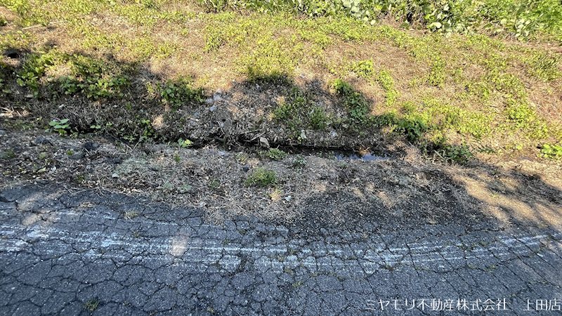 上田市常磐城　土地 現地写真