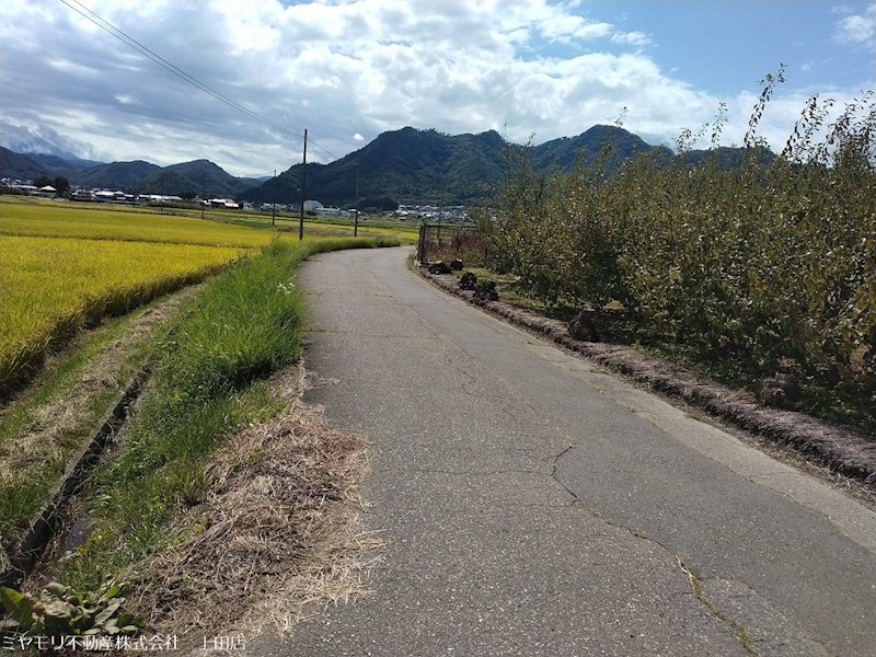 上田市生田　中古戸建 現地写真（前面道路含む現地写真）
