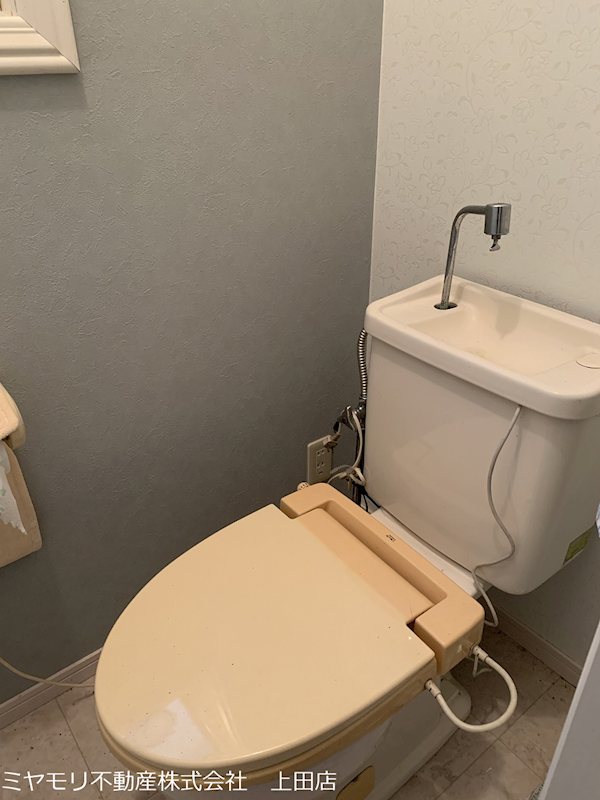 青木村沓掛　中古戸建 内観写真（トイレ）