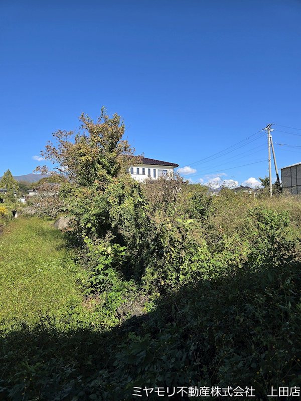 東御市和　土地 現地写真