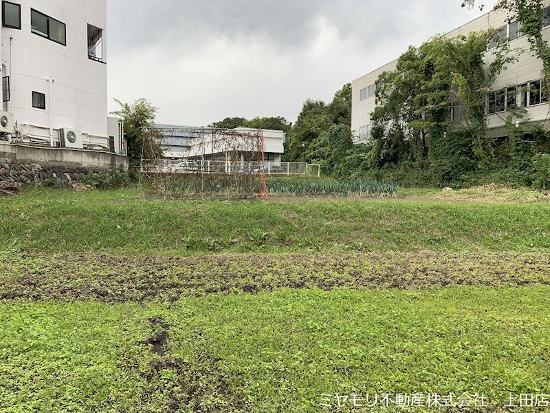 上田市岩下　土地 現地写真
