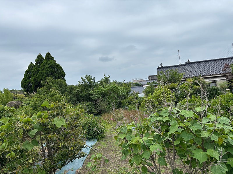 鹿児島県鹿児島市吉野町 眺望写真