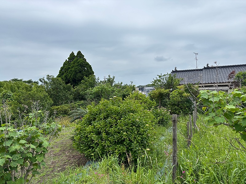 鹿児島県鹿児島市吉野町 眺望写真