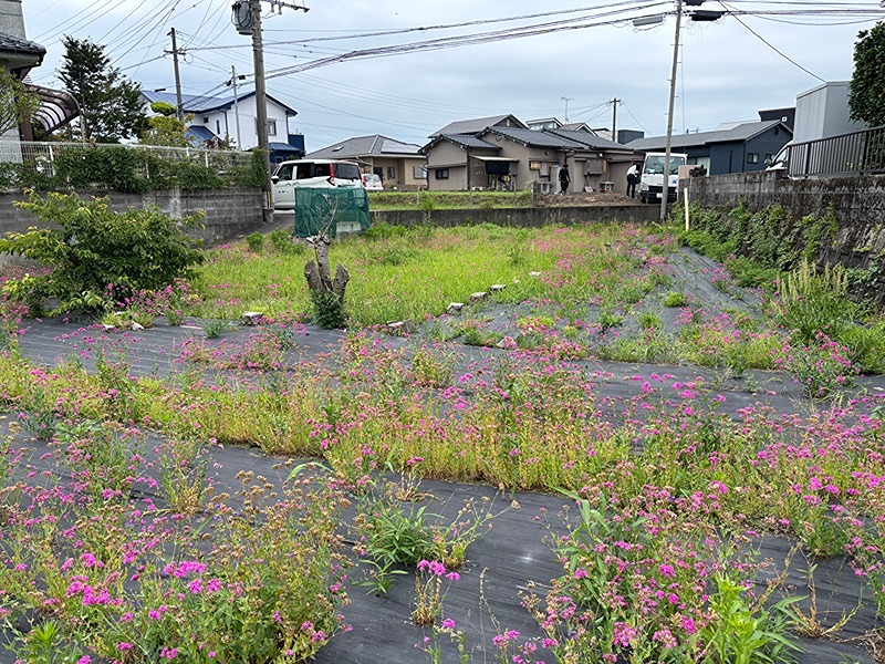鹿児島県鹿児島市吉野町 現地写真