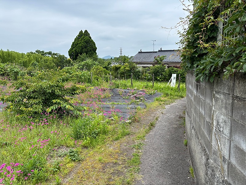 鹿児島県鹿児島市吉野町 現地写真