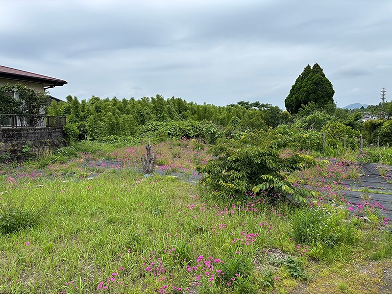鹿児島県鹿児島市吉野町 現地写真