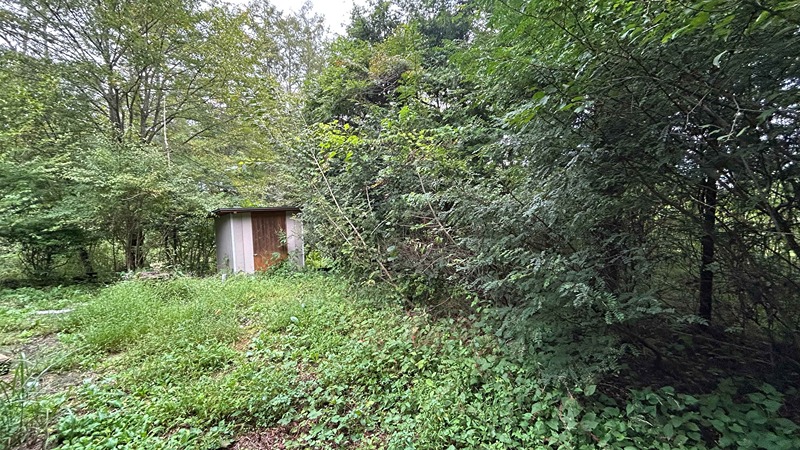 長野県北佐久郡軽井沢町長倉 現地写真（庭）