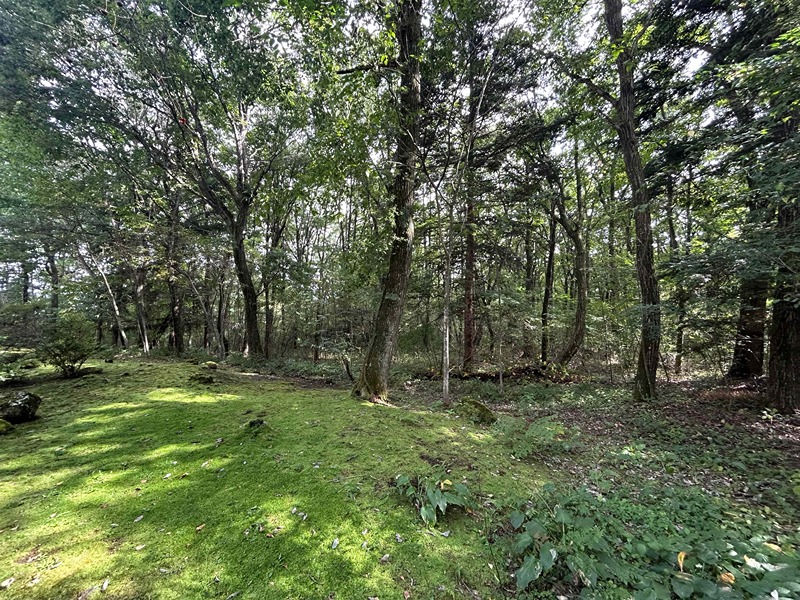 長野県北佐久郡軽井沢町長倉 現地写真（庭）