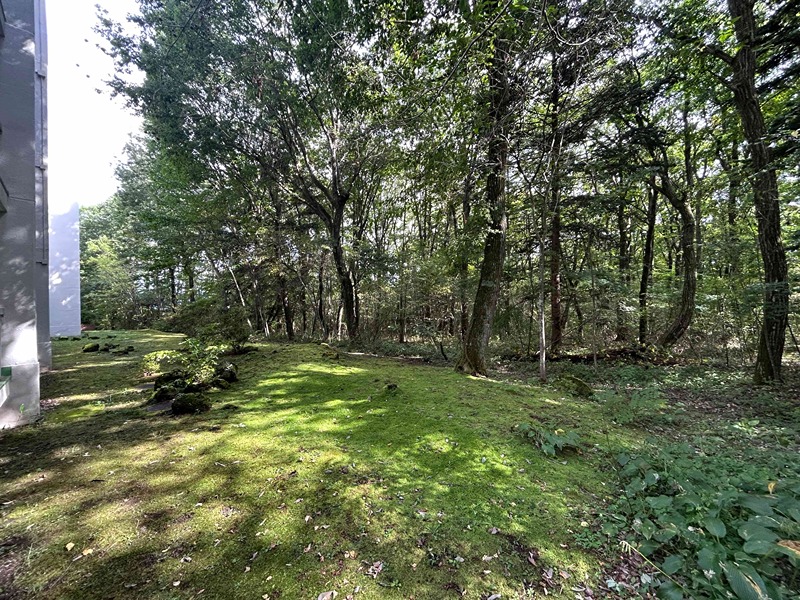 長野県北佐久郡軽井沢町長倉 現地写真（庭）