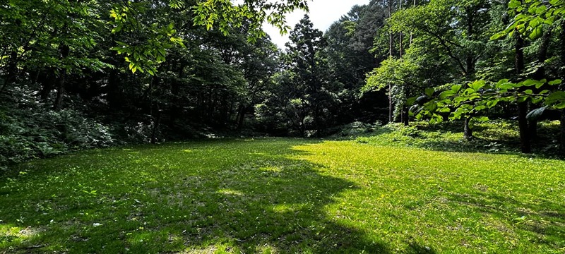 長野県北佐久郡軽井沢町長倉千ケ滝西区 現地写真
