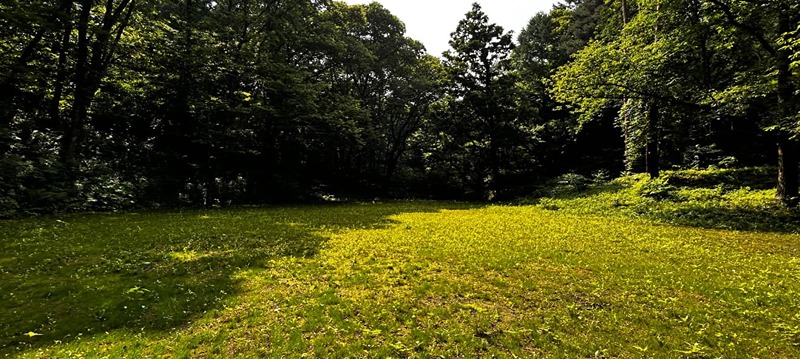 長野県北佐久郡軽井沢町長倉千ケ滝西区 現地写真