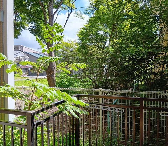 長野県北佐久郡軽井沢町軽井沢東 内観写真（その他）