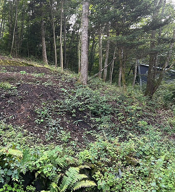 長野県北佐久郡軽井沢町発地 現地写真