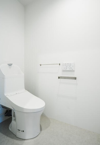 日光ハイツ彦根壱番館 内観写真（トイレ）