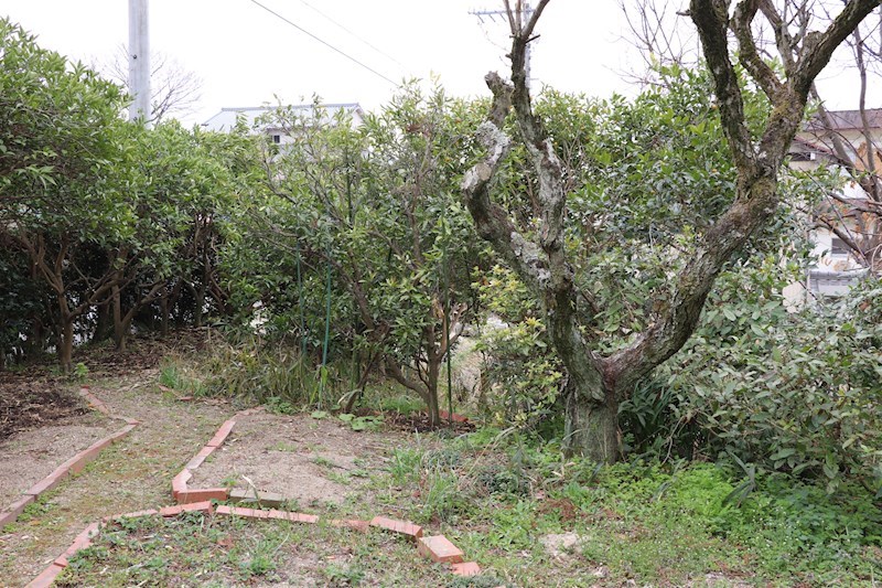 尾張旭市旭ヶ丘町森　売地 その他