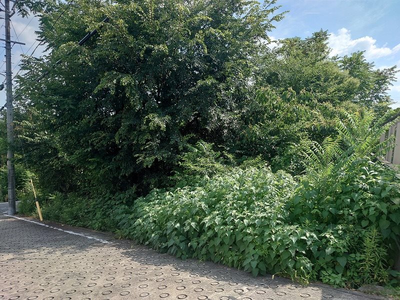 愛知県名古屋市守山区大森八龍１丁目 その他