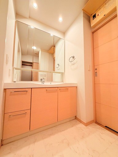 ライフピア蕨南町壱番館 内観写真（洗面台・洗面所）