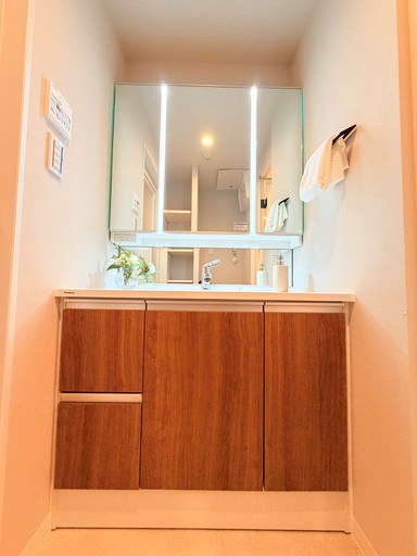 グランシティ戸田 内観写真（洗面台・洗面所）
