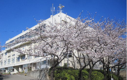 川口市大字差間 中古戸建 小学校