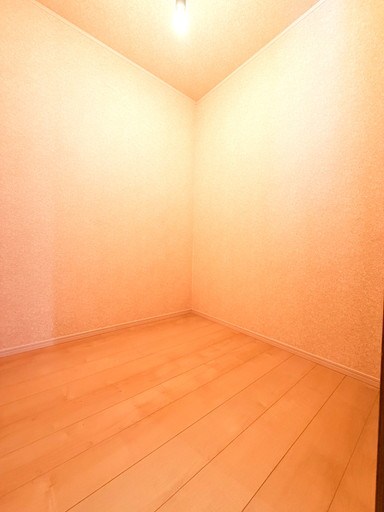 さいたま市南区辻7丁目 中古戸建 内観写真（収納）