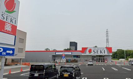 さいたま市南区辻7丁目 中古戸建 ドラッグストア