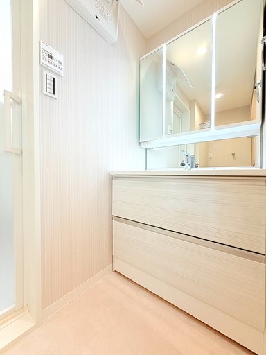 セレナハイム西浦和 内観写真（洗面台・洗面所）