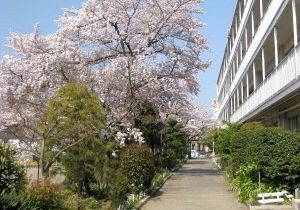 モア・ステージ川口西 小学校