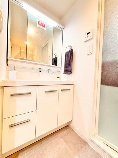 コスモ戸田ピアハイツ 内観写真（洗面台・洗面所）