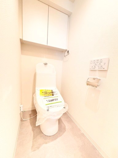 コスモ戸田ピアハイツ 内観写真（トイレ）