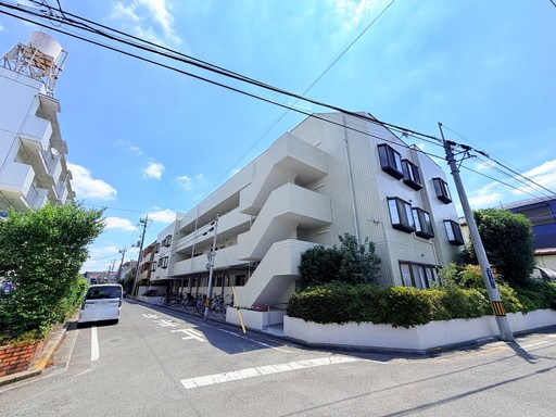 メルサニュートダミヨシ 現地写真