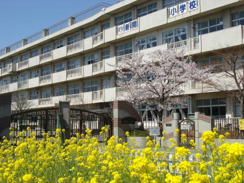 ラミーユ浦和ハイライズセカンドキャッスル 小学校