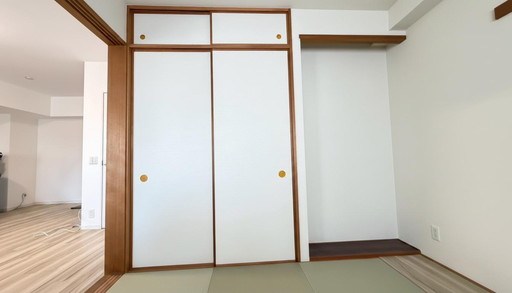 セントレジアス川口 内観写真（収納）
