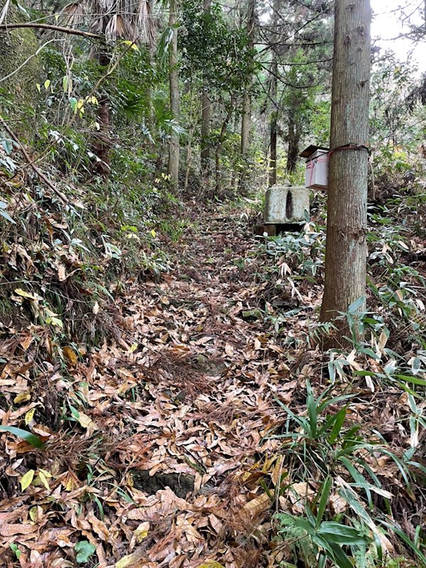 小倉南区大字市丸 売土地 現地写真