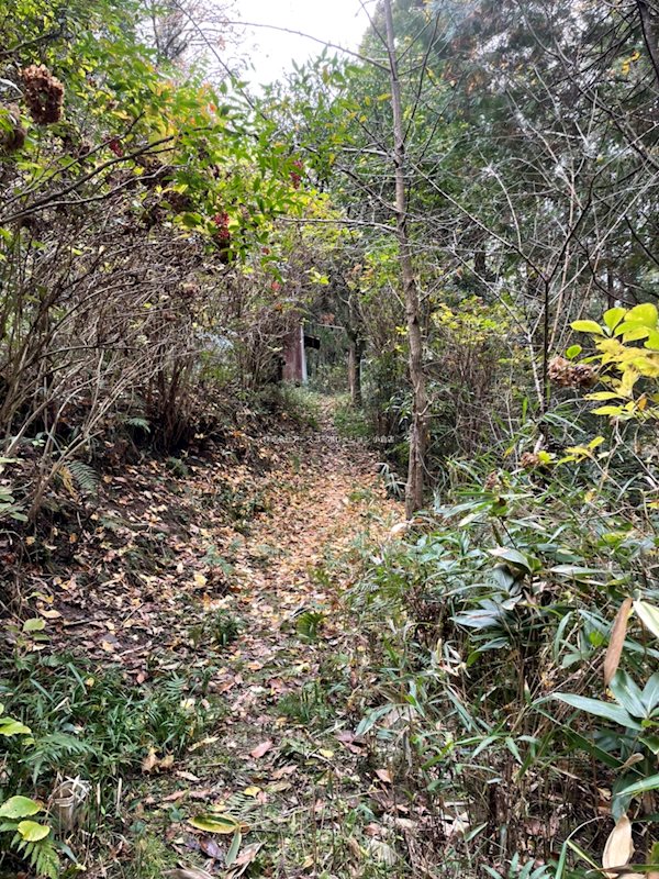 小倉南区大字市丸 売土地 現地写真