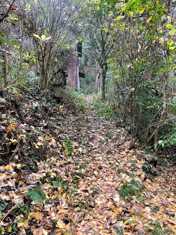 小倉南区大字市丸 売土地 現地写真