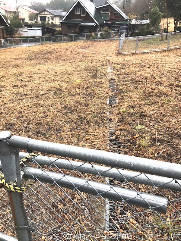 万年山温泉別荘地6区 その他